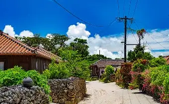 竹富島の集落