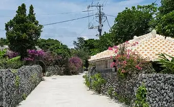 竹富島の集落